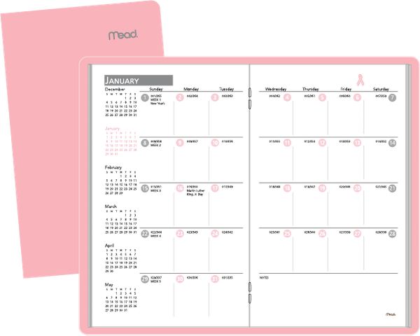 Special Edition 2 Year Monthly Pocket Planner (TL0024)  AT-A-GLANCE - MEAD